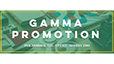 GAMMA PROMOTION